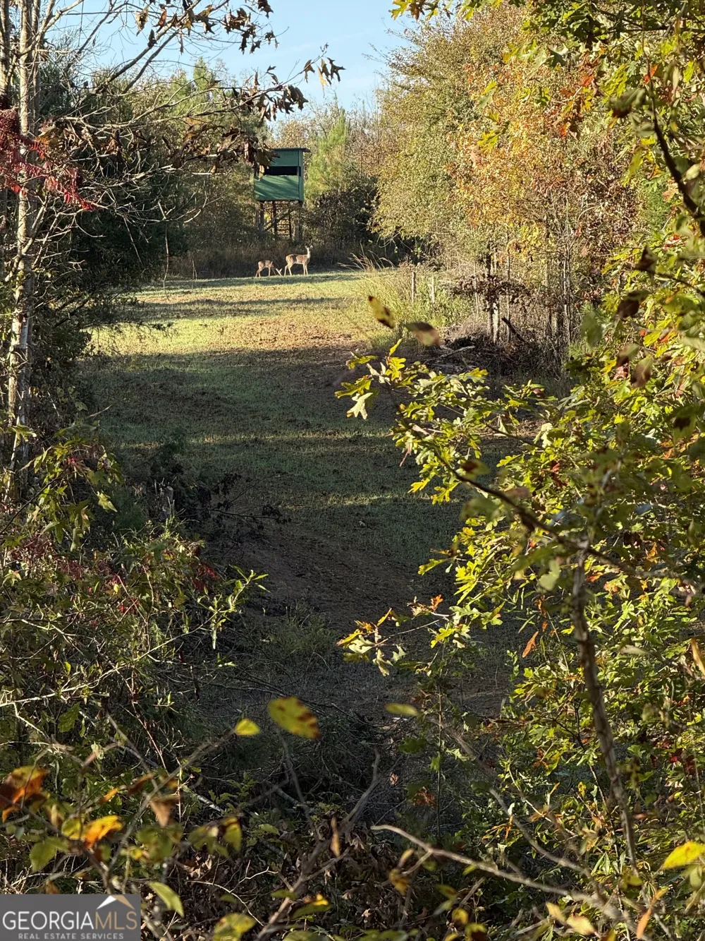 0 Thaxton RD Rayle, GA 30660