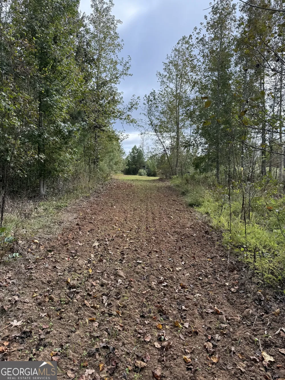 0 Thaxton RD Rayle, GA 30660