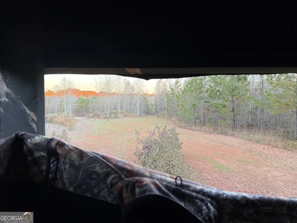0 Thaxton RD Rayle, GA 30660