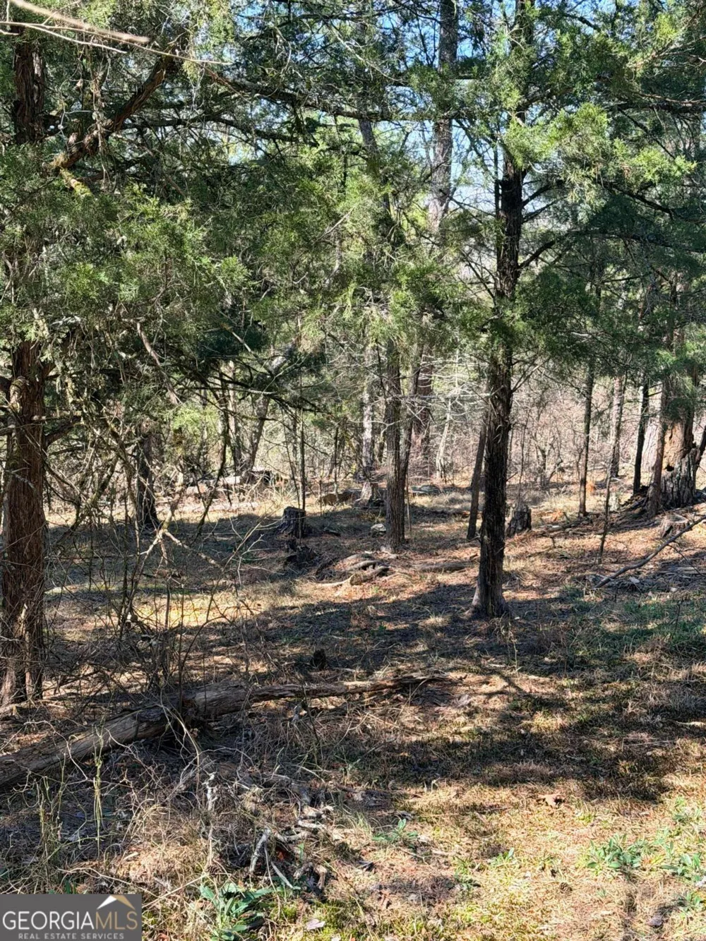 4012 PAULETTE DR Monroe, GA 30656