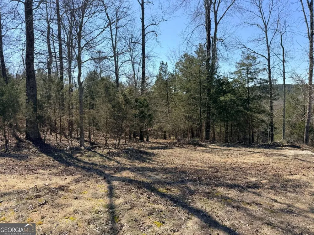 4012 PAULETTE DR Monroe, GA 30656