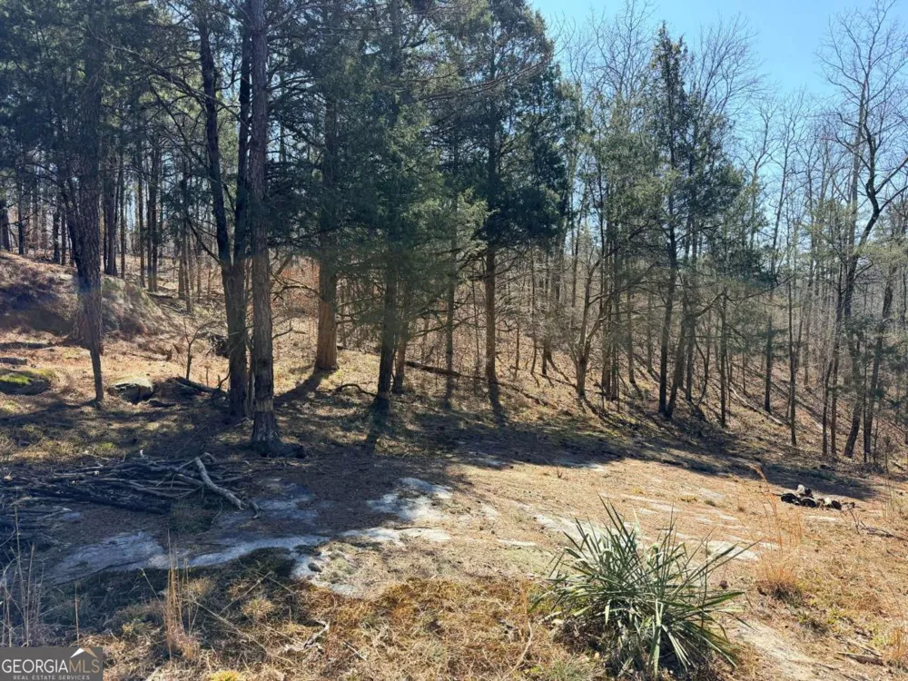 4012 PAULETTE DR Monroe, GA 30656
