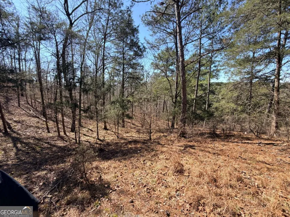 4012 PAULETTE DR Monroe, GA 30656
