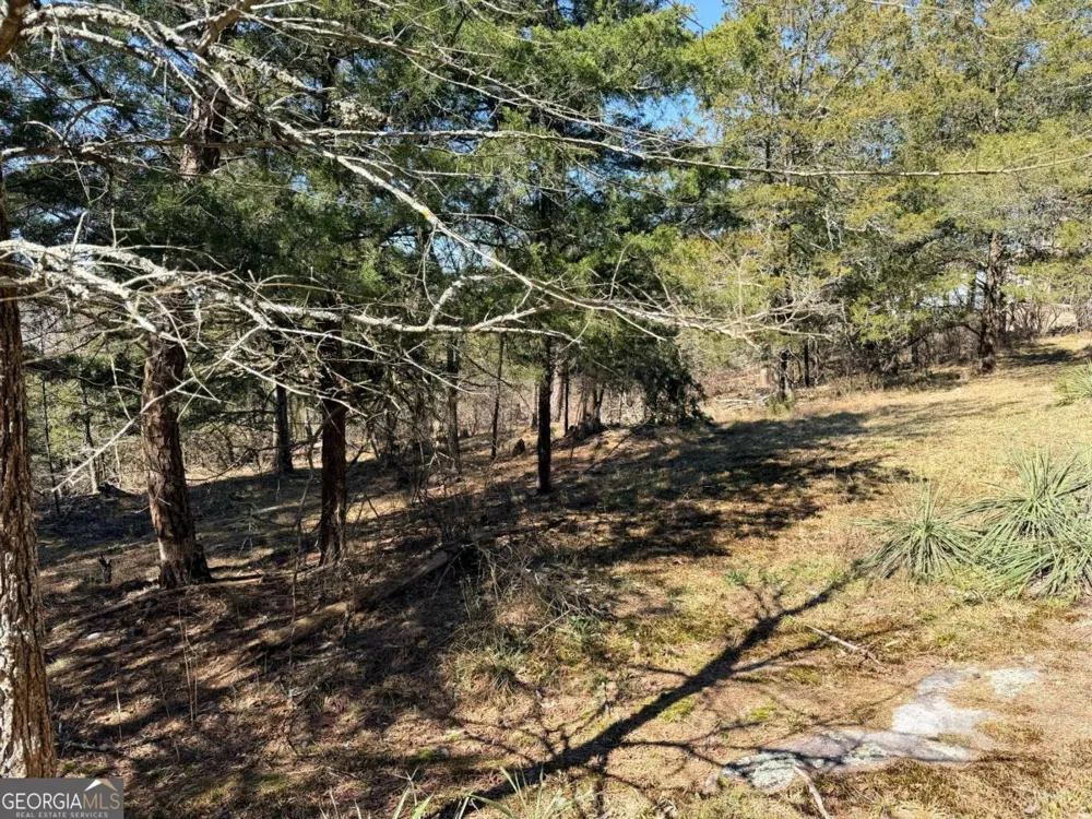 4012 PAULETTE DR Monroe, GA 30656