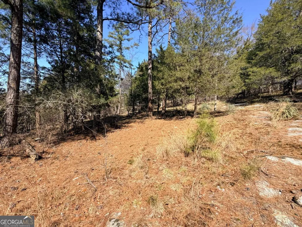 4012 PAULETTE DR Monroe, GA 30656