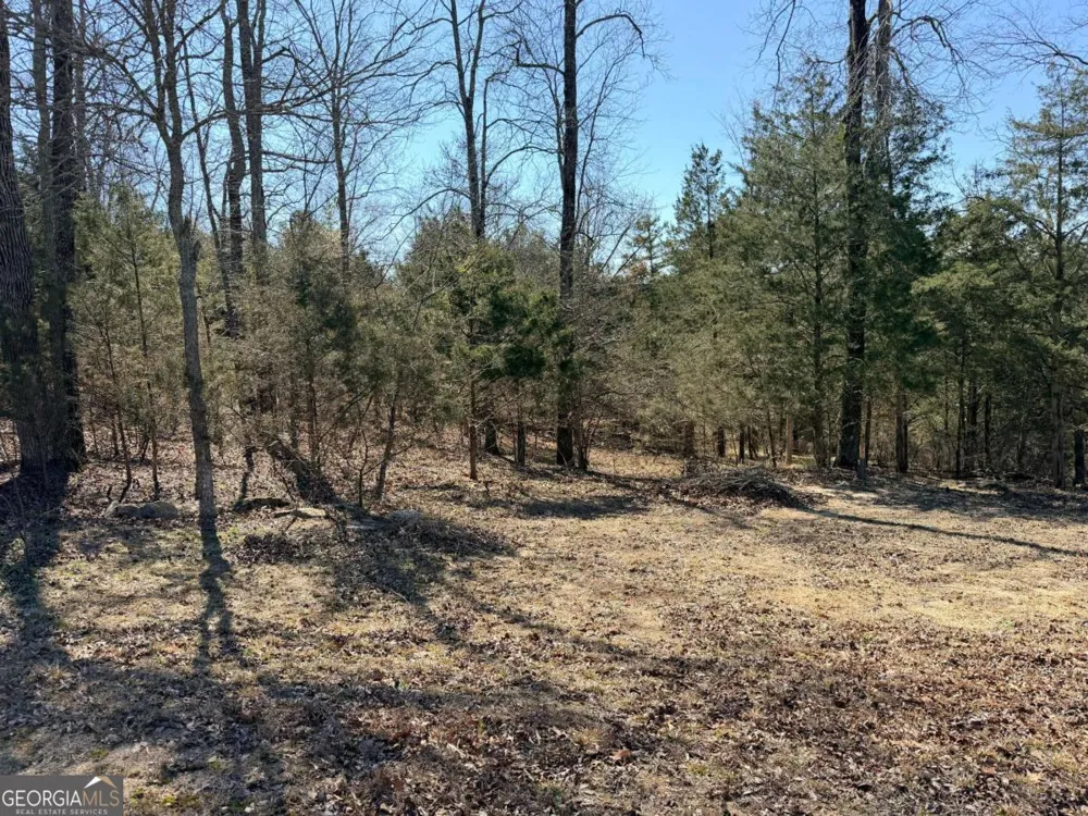 4012 PAULETTE DR Monroe, GA 30656