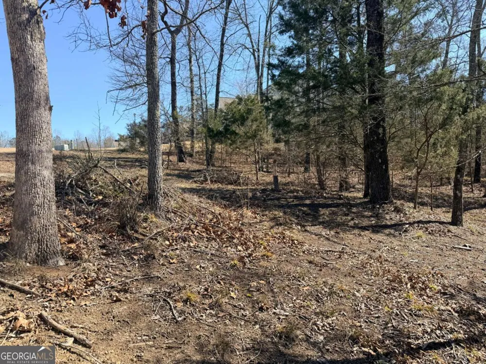 4012 PAULETTE DR Monroe, GA 30656