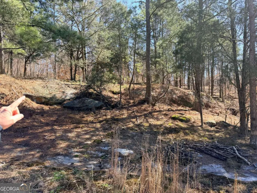 4012 PAULETTE DR Monroe, GA 30656