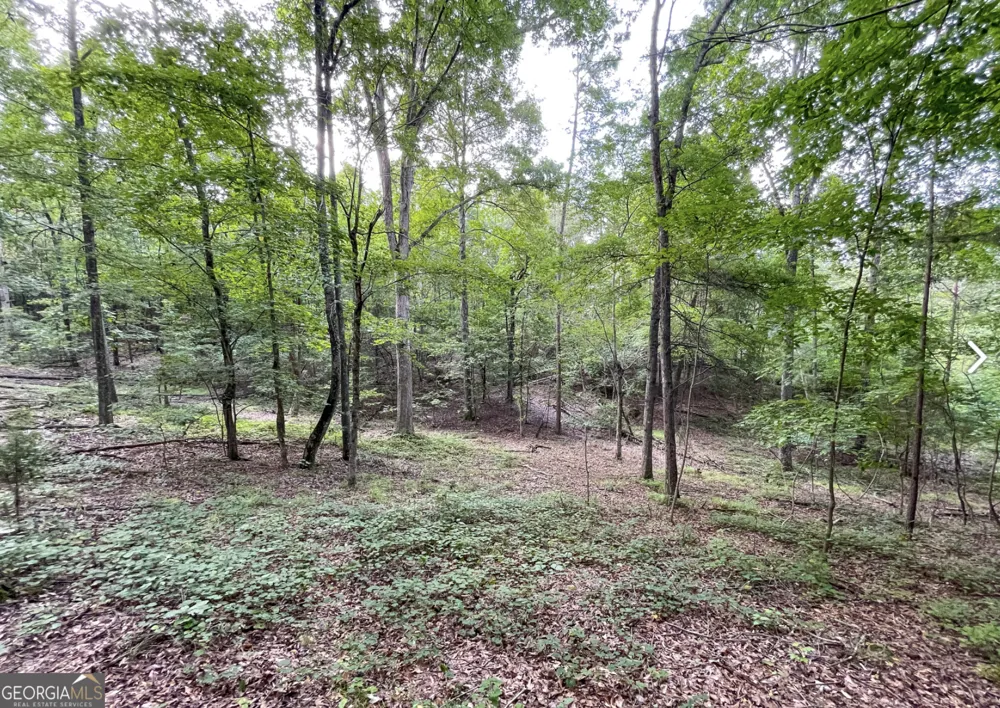 809 1/2 Probasco ST N LaFayette, GA 30728