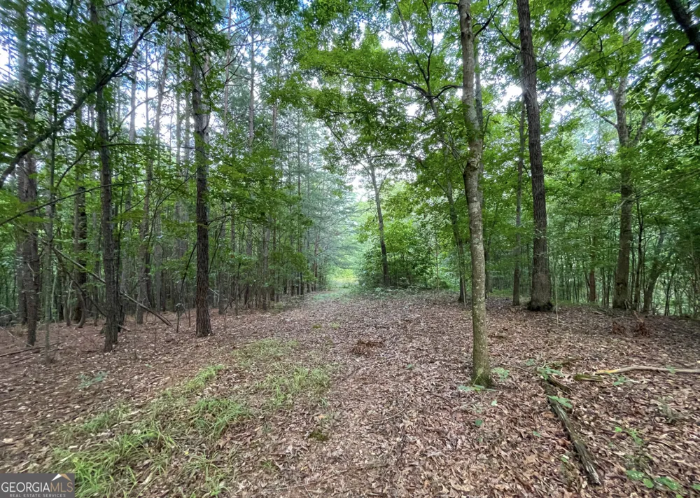 809 1/2 Probasco ST N LaFayette, GA 30728
