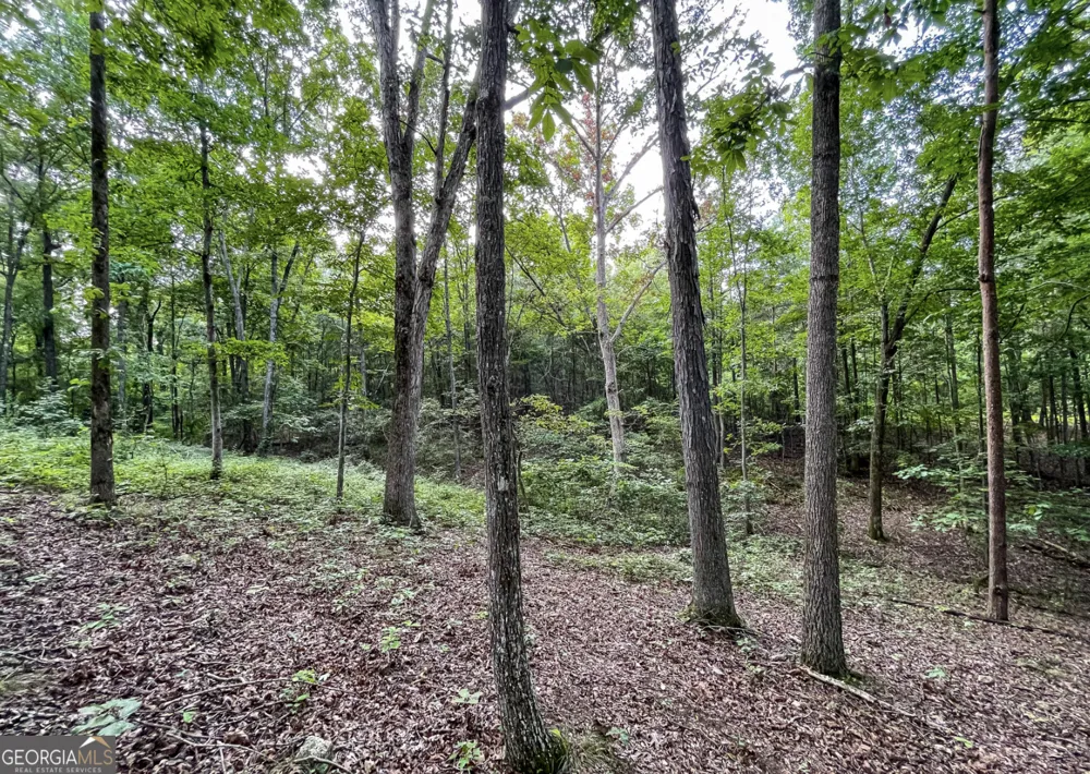 809 1/2 Probasco ST N LaFayette, GA 30728