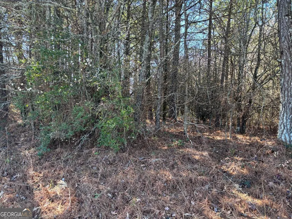 2515 Eastgate PL Snellville, GA 30078