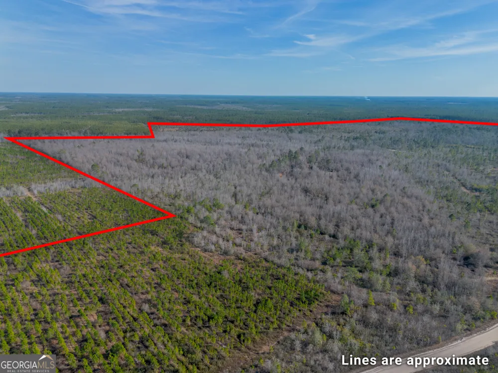 0 BANNER RD Waycross, GA 31503