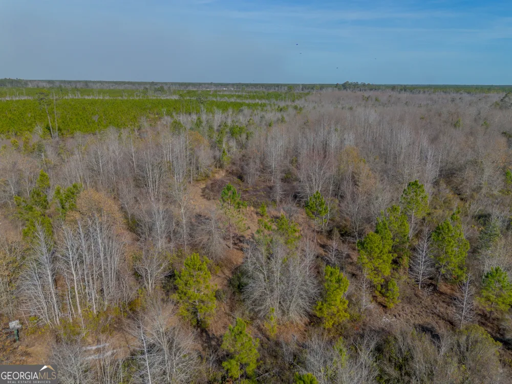 0 BANNER RD Waycross, GA 31503