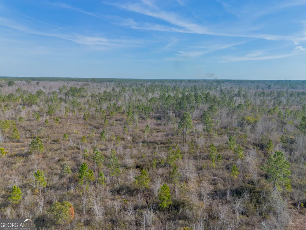 0 BANNER RD Waycross, GA 31503