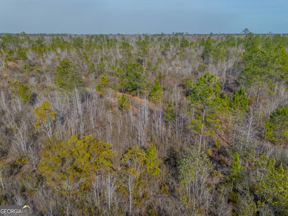 0 BANNER RD Waycross, GA 31503