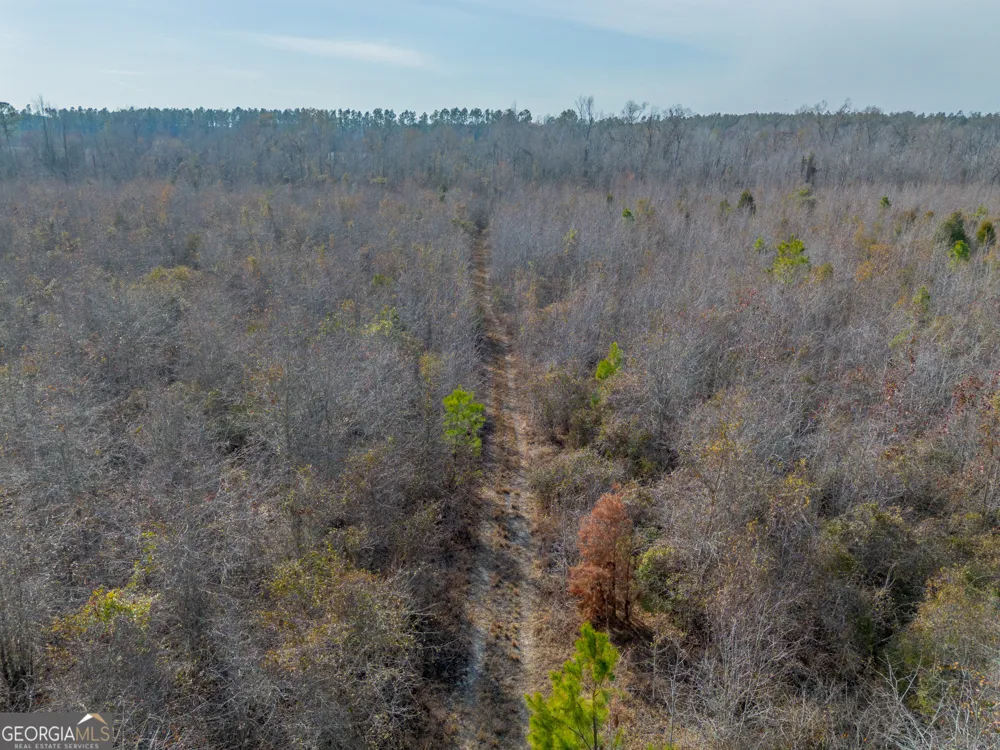 0 BANNER RD Waycross, GA 31503