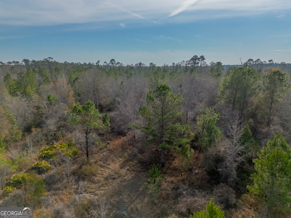 0 BANNER RD Waycross, GA 31503