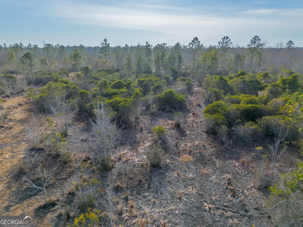 0 BANNER RD Waycross, GA 31503