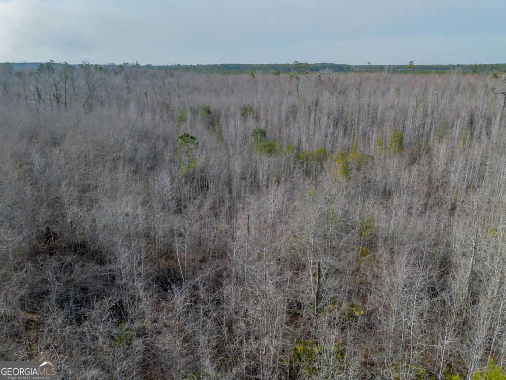 0 BANNER RD Waycross, GA 31503