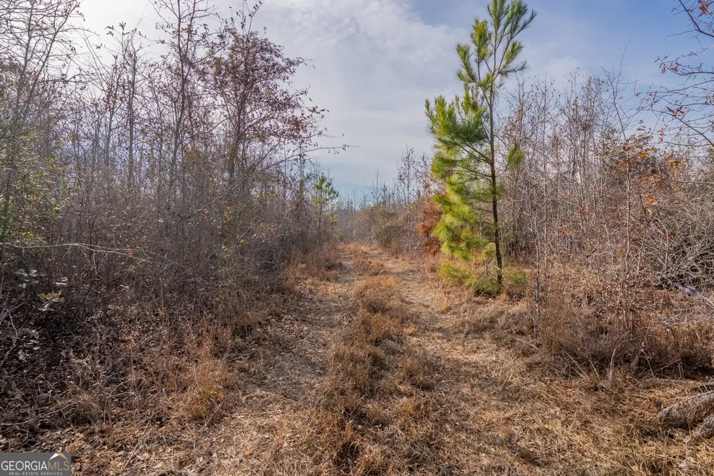 0 BANNER RD Waycross, GA 31503