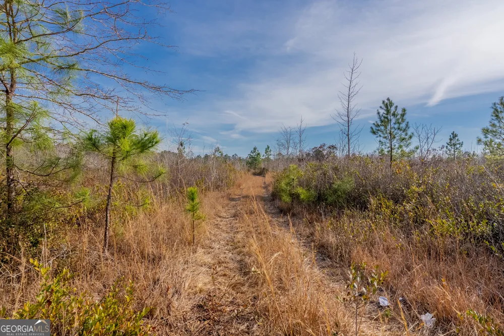 0 BANNER RD Waycross, GA 31503
