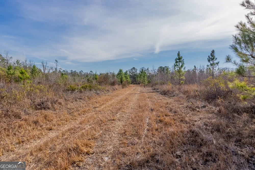 0 BANNER RD Waycross, GA 31503