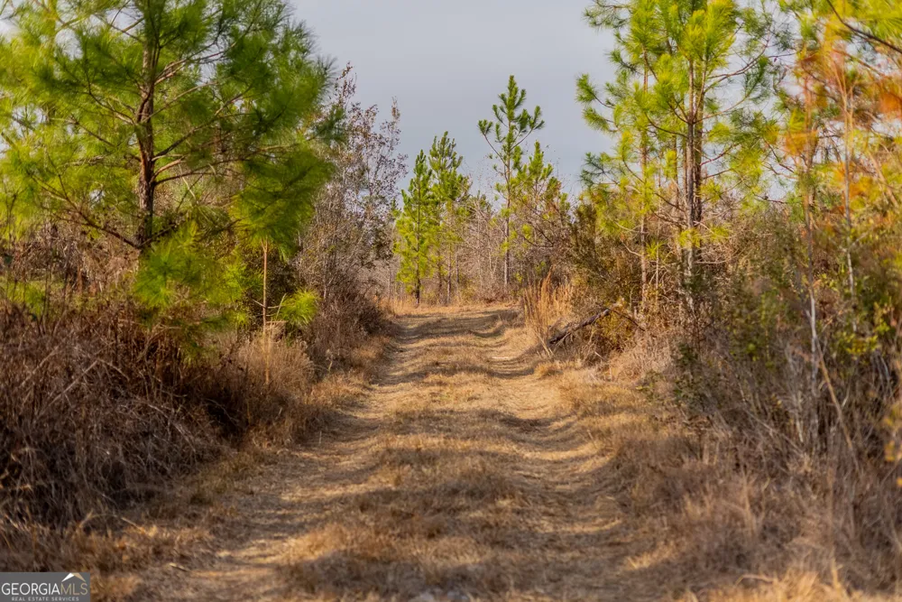 0 BANNER RD Waycross, GA 31503
