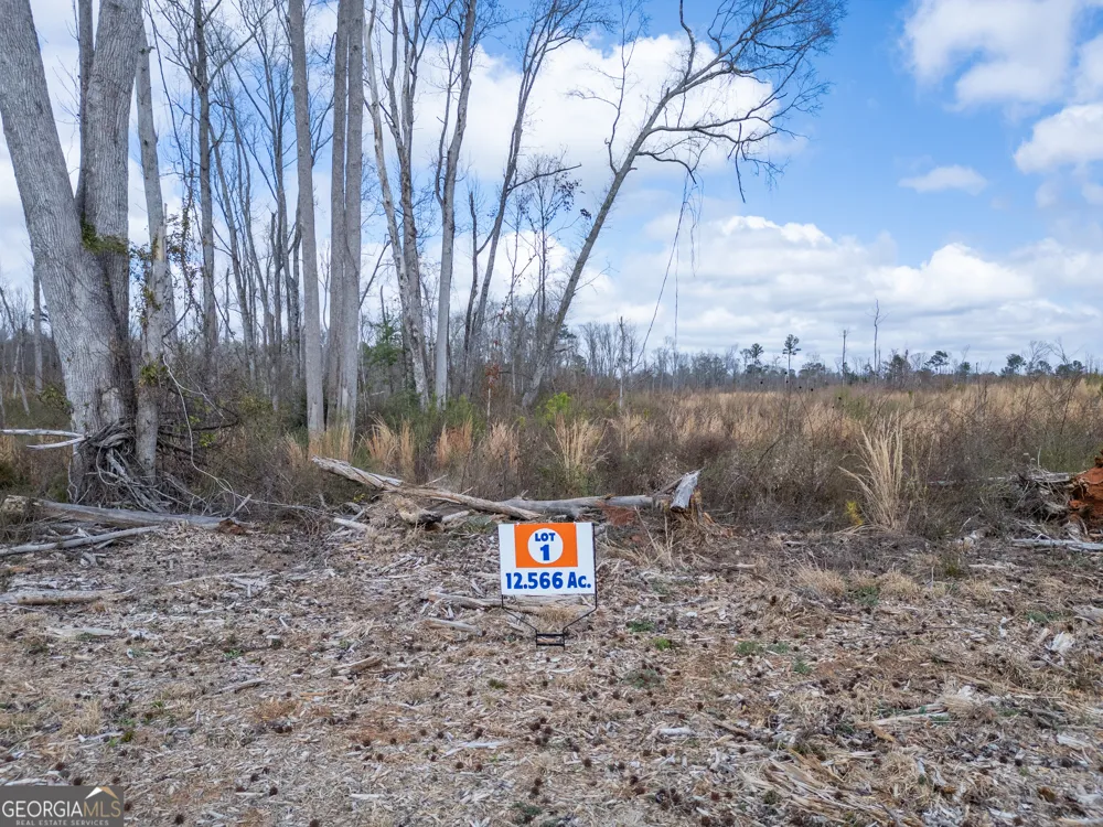 LOT 1 Haley RD Jackson, GA 30233