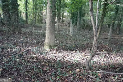 LOT 6 Pine Valley DR