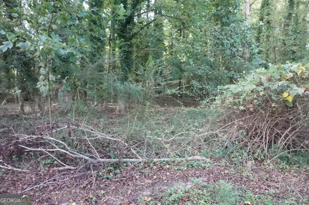 LOT 6 Pine Valley DR Royston, GA 30662