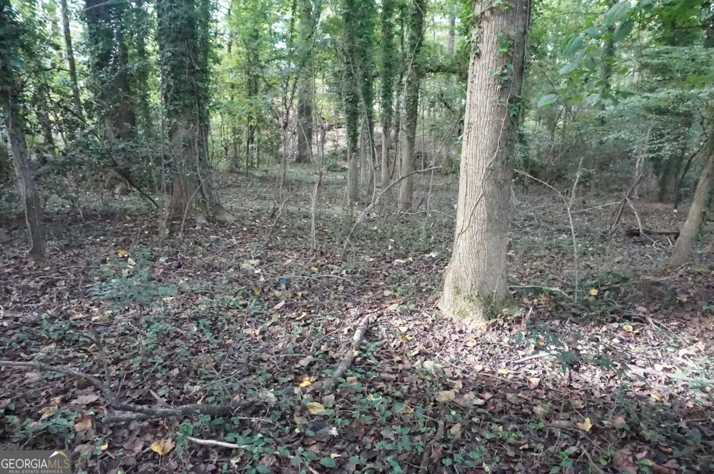 LOT 6 Pine Valley DR Royston, GA 30662