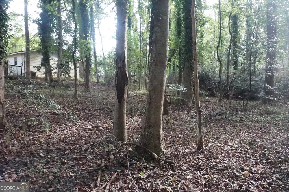 LOT 6 Pine Valley DR Royston, GA 30662