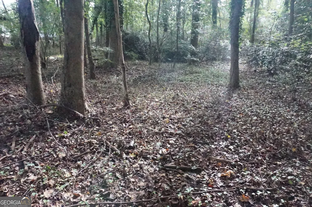 LOT 6 Pine Valley DR Royston, GA 30662