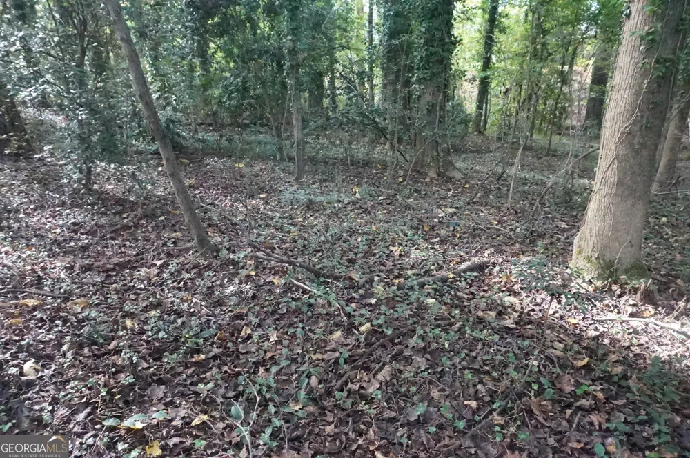 LOT 6 Pine Valley DR Royston, GA 30662