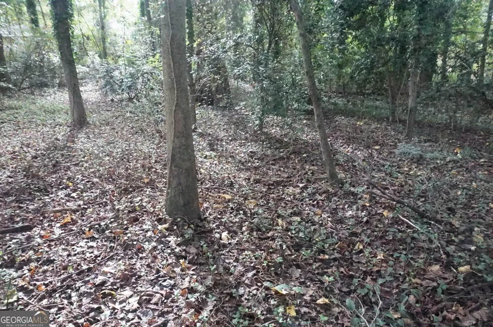 LOT 6 Pine Valley DR Royston, GA 30662