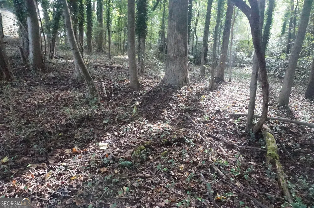 LOT 6 Pine Valley DR Royston, GA 30662
