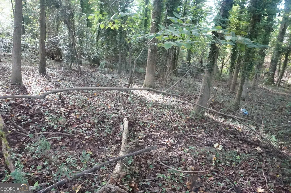 LOT 6 Pine Valley DR Royston, GA 30662