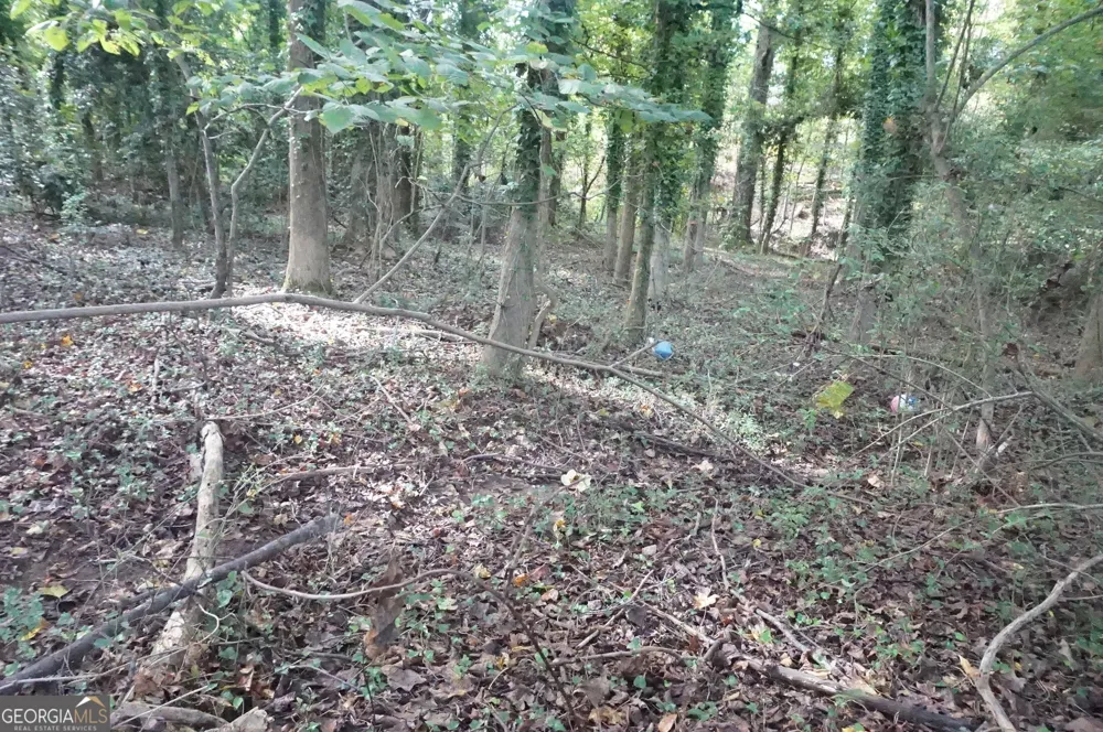 LOT 6 Pine Valley DR Royston, GA 30662