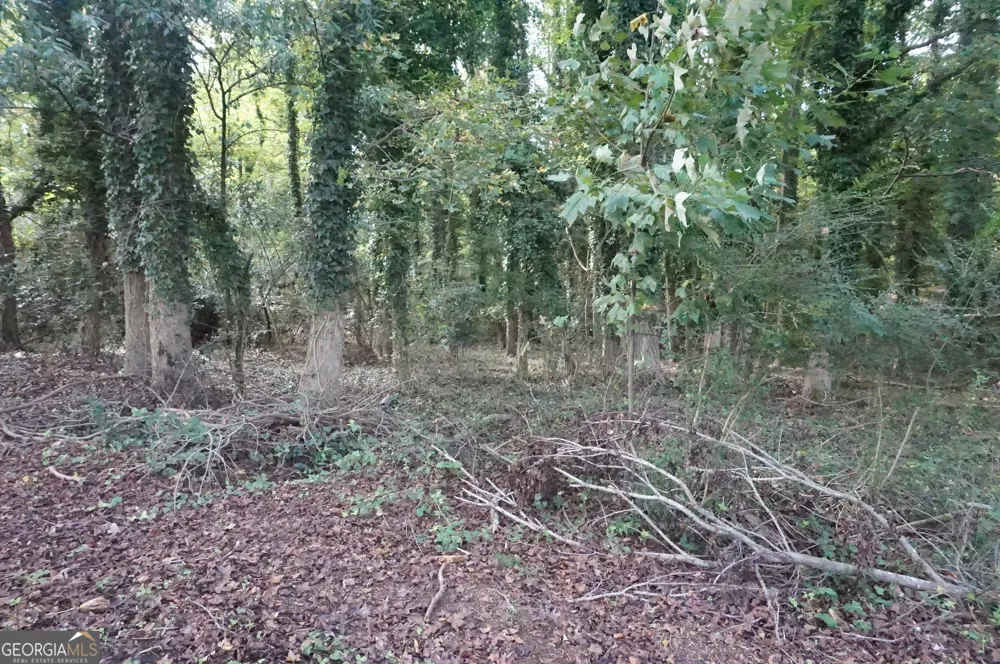 LOT 6 Pine Valley DR Royston, GA 30662