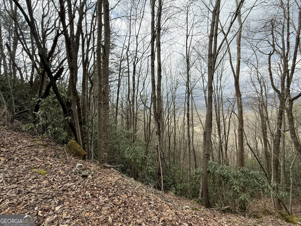 LOT 416 Screamer DR Clayton, GA 30525