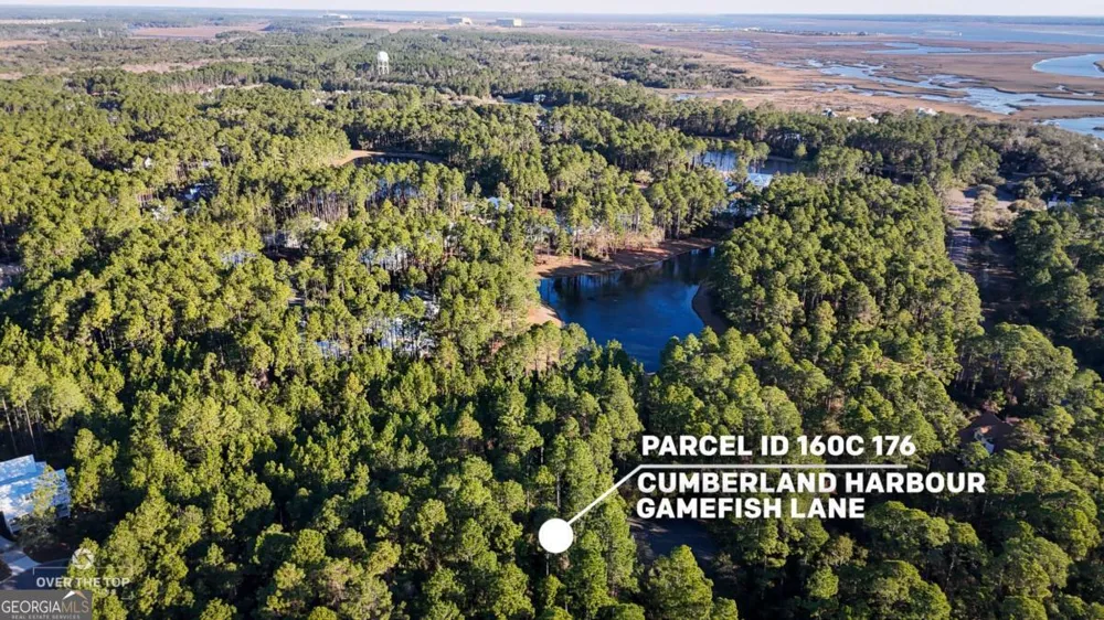 V/L 176 Gamefish LN St. Marys, GA 31558