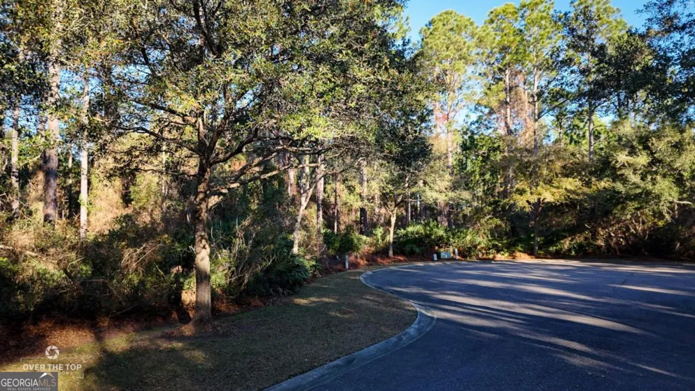 V/L 176 Gamefish LN St. Marys, GA 31558