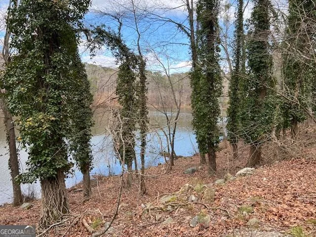 0 Lower Dixie Lake RD Union City, GA 30291