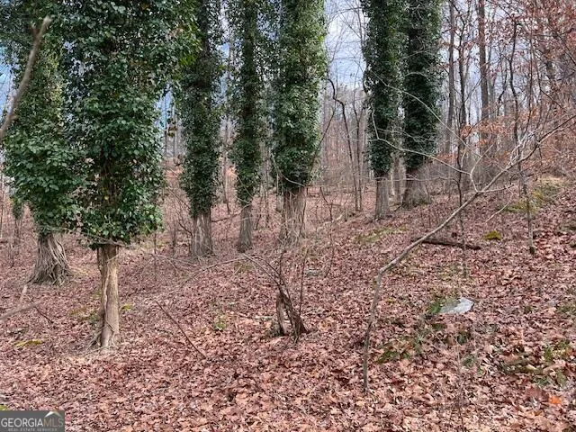 0 Lower Dixie Lake RD Union City, GA 30291