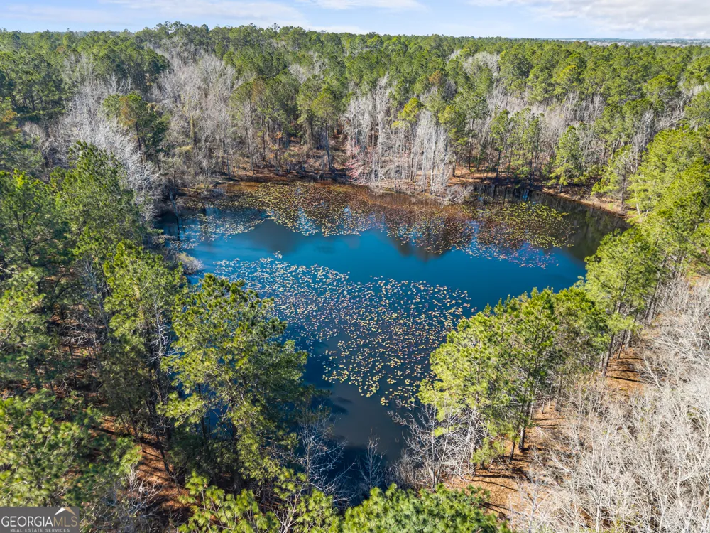 22701 S Highway 129 Cobbtown, GA 30420