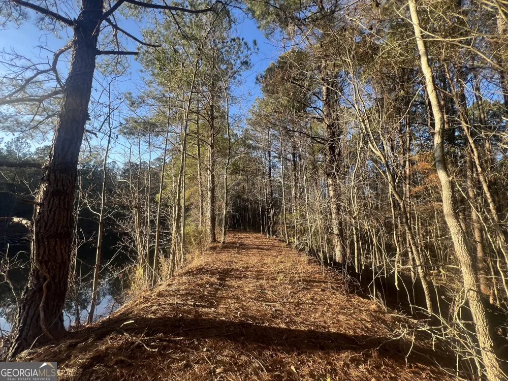 22701 S Highway 129 Cobbtown, GA 30420