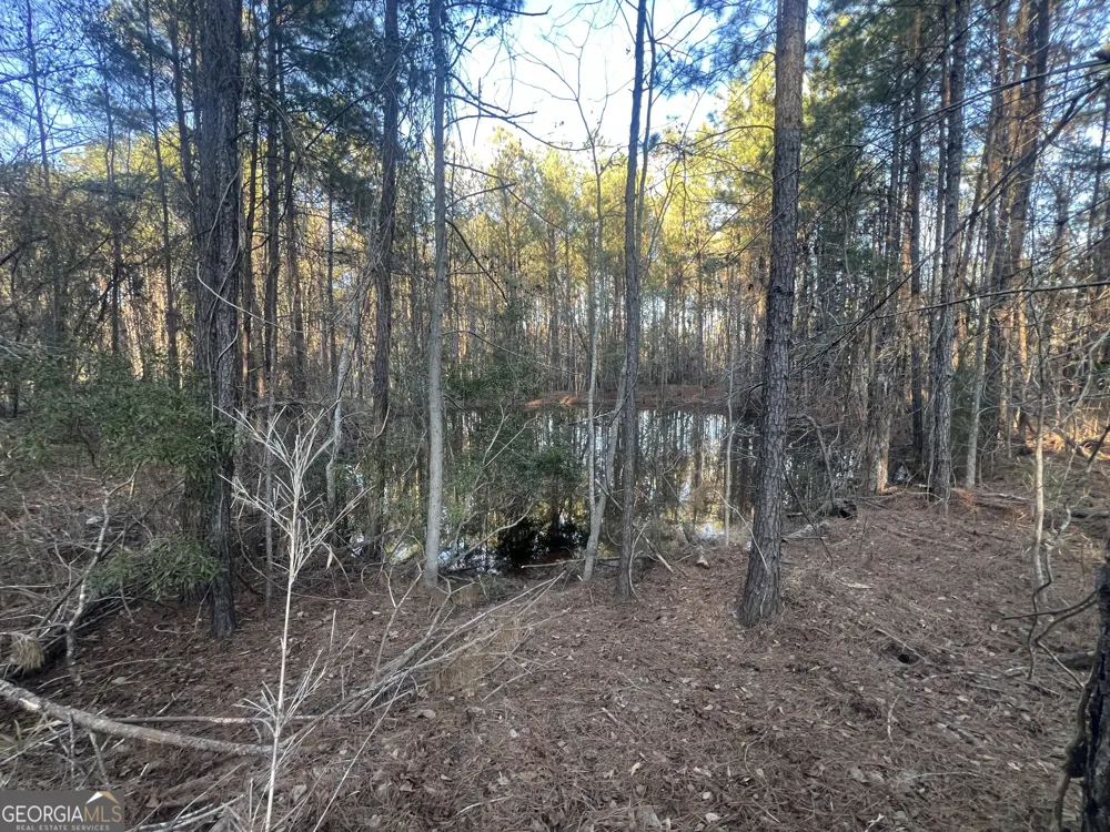 22701 S Highway 129 Cobbtown, GA 30420