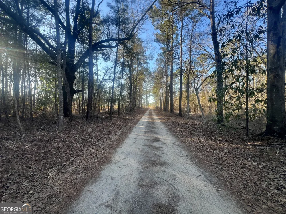 22701 S Highway 129 Cobbtown, GA 30420