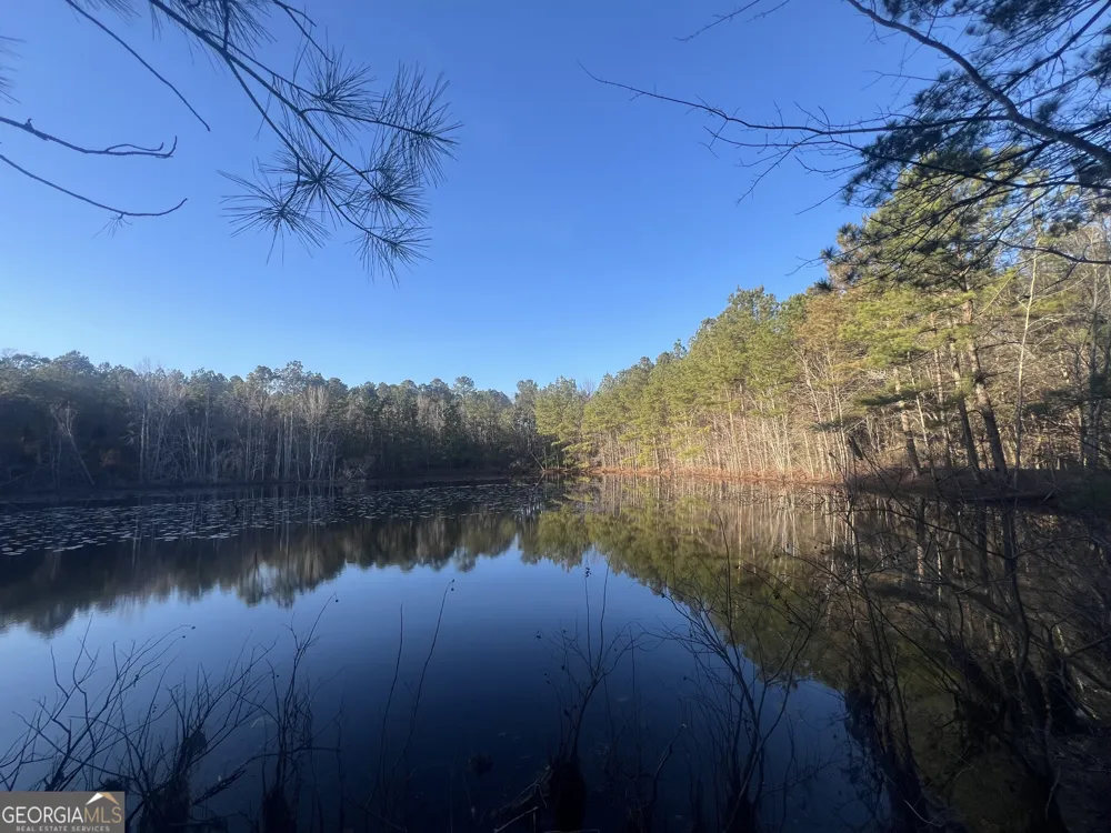 22701 S Highway 129 Cobbtown, GA 30420